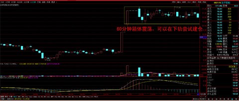 一肖一特一特一中下一期預測或澳門今晚開一肖一特預測和:蛇、龍、狗、豬和防范虛假鼓吹術-關鍵解答、解釋與落實