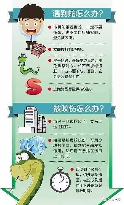 謹防:一肖一特一特一中下一期預測或澳門今晚開一肖一特預測和:蛇、龍、狗、豬,遠離虛假承諾沼-新穎釋義、專家解讀解釋與落實?