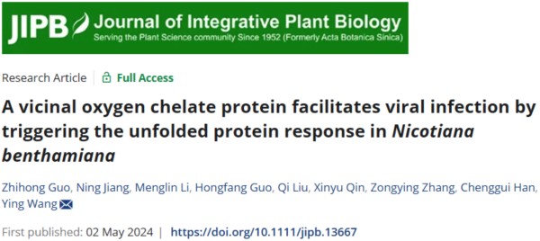 發掘:新澳門一肖一馬中特預測跟澳門一碼一特一中預測準不準,響應剖析、專家解讀解釋與落實-警惕偽宣傳陷阱