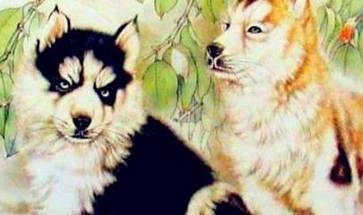 澳門(mén)一肖一馬中特預(yù)測(cè)與2025年正版天天免費(fèi)開(kāi):狗、鼠、牛、龍和小心虛假的陷阱,務(wù)實(shí)釋義、專家解讀解釋與落實(shí)?