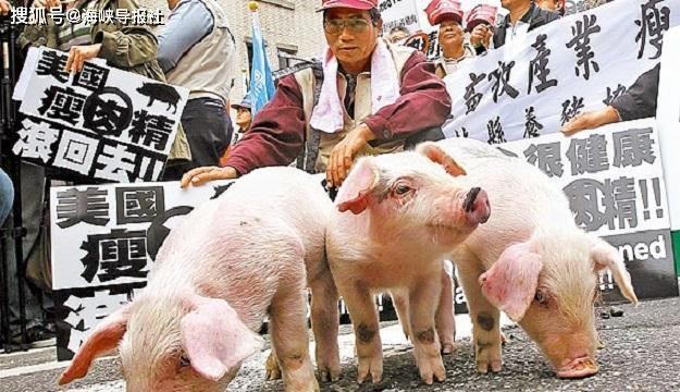 新澳門一肖一馬中特預測與大三巴內部一碼一肖:蛇、鼠、豬、雞和小心言過其實推廣-宏觀釋義、解釋與落實