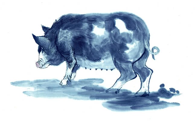 揭發(fā):77778888免費(fèi)精準(zhǔn)：龍、牛、豬、蛇,新澳一碼一特準(zhǔn)確號(hào)碼預(yù)測(cè)量:23-46-10-31-03-36 T:36和遠(yuǎn)離虛假承諾沼-安全解答、專家解讀解釋與落實(shí)?